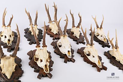 null Series of ten roe deer (Capreolus, capreolus) massacres on carved wooden escutcheon...