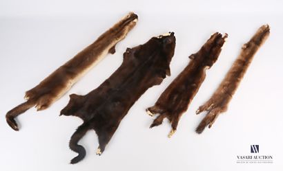 null Set of four mink skins (Neovison mink, not regulated) 

Length : from 58 to...