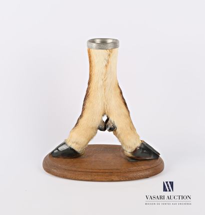 null Support consisting of two crossed antelope legs on a wooden base with a socket...