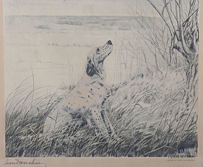 null DANCHIN Léon (1887 - 1938), after

English Setter watching the green collar

Engraving...