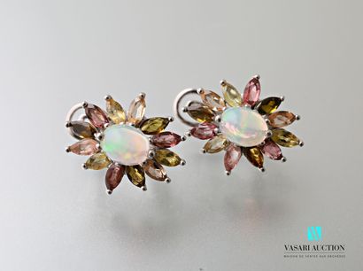 null Pair of silver earrings 925 thousandths set with central opals surrounded by...