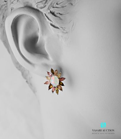 null Pair of silver earrings 925 thousandths set with central opals surrounded by...