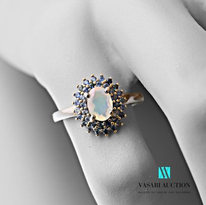 null Silver ring 925 thousandths set with a central opal surrounded by two rows of...