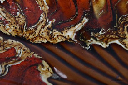 null VALLAURIS

Glazed earthenware dish showing a leaf ending with scrolls in autumnal...