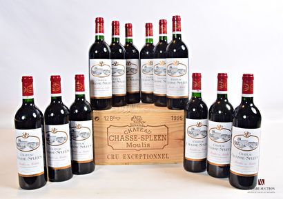 null 12 bouteilles	Château CHASSE SPLEEN	Moulis	1995

	Et. impeccables. N : 9 bas...