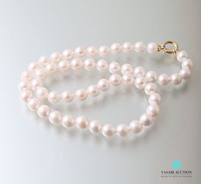 null Necklace of pearls of culture Akoya of 7,5/8 mm, the clasp ring spring in yellow...