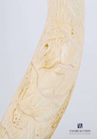 null Corne de grand koudou (Tragelaphus strepticeros, non réglementé) polie et sculptée...