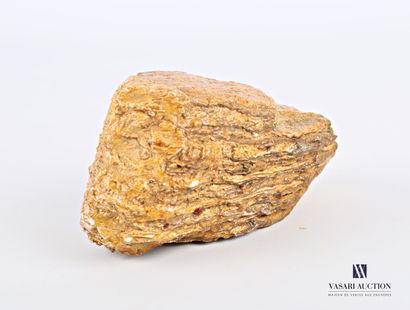 null Dent de mammouth fossilisé.

Haut. : 14,5 cm