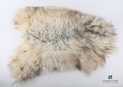 null Peau de mouton islandais (Ovis aries, non réglementé) avec longueur de laine...