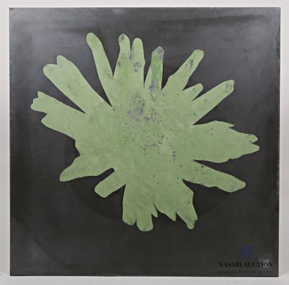 null PASSANITI Francesco (born in 1952)

Green flower on black background

BEFUP...