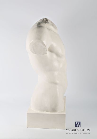 null Reproduction en plâtre d'un buste d'homme sur socle

Cachet MRAH - KMKG - Brussels...