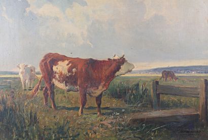 null BRASSEUR (19th - 20th century)

Cow mooing in front of the fence

Oil on canvas

Signed...