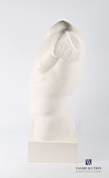 null Reproduction en plâtre d'un buste d'homme sur socle

Cachet MRAH - KMKG - Brussels...
