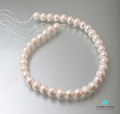 null Necklace of thirty eight freshwater pearls of 11/12 mm, without fremoir to be...