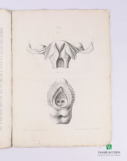 null GEORG HEINRICH

Tabulae Anatomicae Quator Uteri Duplicis - Observationem Rariorem...