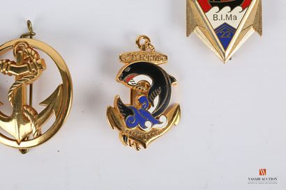 null Set of unit badges of the Troupes de Marine and Troupes Aéro Portées: TDM beret...