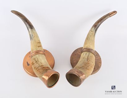 null Pair of domestic bovine horns (Bos taurus, not regulated), the mount in copper.

Height...