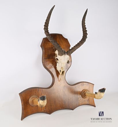 null Rifle holder composed of two legs and surmounted by a massacre of impala (Aepyceros...