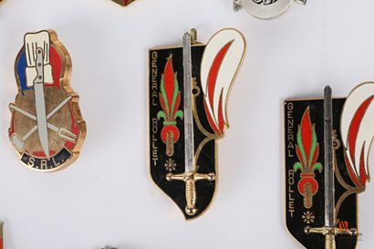 null Set of various and foreign unit badges: H.A. 353, H.A. BAUR, Sgt. Chief Cobraz,...