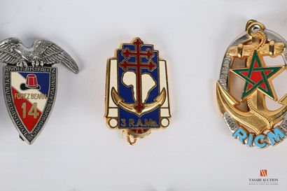 null Set of unit badges of the Troupes de Marine and Troupes Aéro Portées: TDM beret...