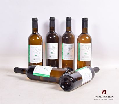 6 bouteilles	Domaine MONT RAMÉ blanc 