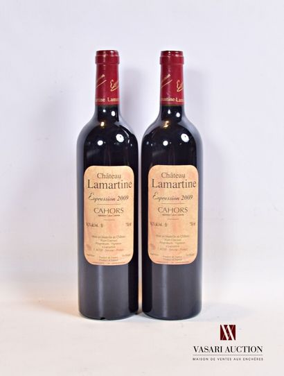 null 2 bouteilles	CAHORS mise Château LAMARTINE "Expression 2009"		2009

	Présentation...