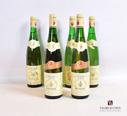 null Lot de 6 bouteilles de vins d'Alsace mise Scherb comprenant :		

2 bouteilles	RIESLING		1993

4...