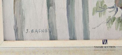 null GACHET Jules (1859-1914)

Paysage lacustre en bord de colline

Huile sur carton

Signé...