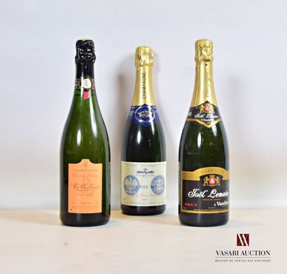 null Lot de 3 bouteilles comprenant :		

1 bouteille	Champagne RODOLPHE MUCYN Brut...