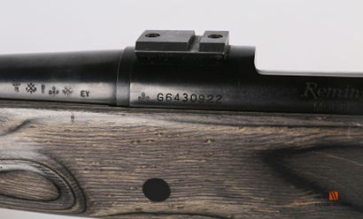 null Carabine à verrou REMINGTON modèle 700, canon rayé/fileté de 62 cm calibre 222...