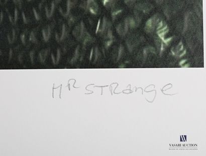 null MR. STRANGE (XXème siècle)

Passage du Pont Jane

Lithographie en couleurs

Numérotée...