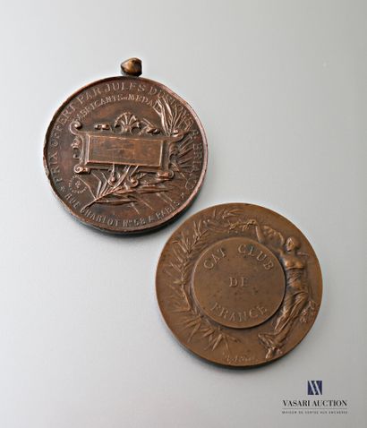 null Médaille en bronze, d'après Adolphe Rivet (1855-?) "Cat Club de France" 

Diam....