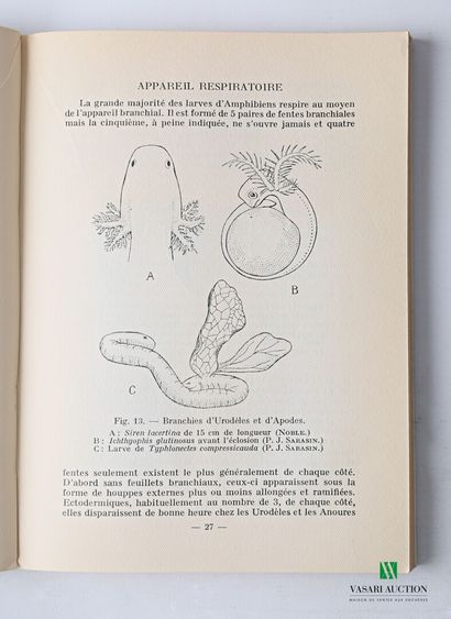 null [FAUNA AND FLORA] 

Lot including eleven books:

- ANGEL F. - Vie et moeurs...