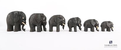 null Ensemble de six sujets en bois noirci et sculpté représentant des éléphants...