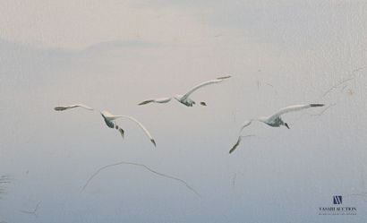 null RAYMOND (XXèmle siècle)

L'envol des oiseaux migrateurs au dessus d'un étang...