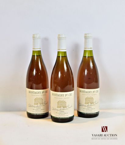 null 3 bouteilles	MONTAGNY 1er Cru Château de la Saule mise Roy-Thévenin Prop.		1995

	Et....