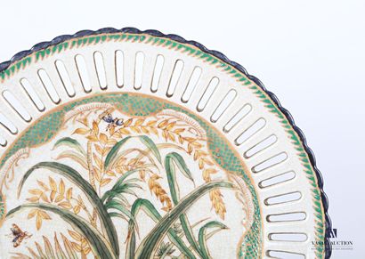 null CHINA

Plate in cracked porcelain decorated in the basin with foliage and insects,...