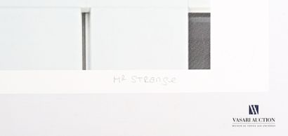 null MR. STRANGE (XXème siècle)

La chute de Mr Halsman

Lithographie en couleurs

Numérotée...