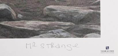 null MR. STRANGE (20th century)

Pee break

Lithograph in colors

Numbered 2/30 in...