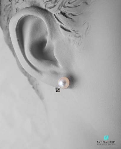 null Paire de boutons d'oreilles en or blanc 750 millièmes ornés de deux perles de...