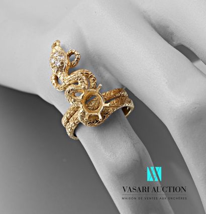 null Snake ring mounting in yellow gold 750 thousandth chased with double revolution,...