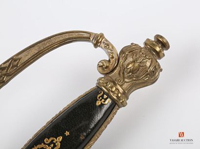 null Sword of deputy, gilded brass mounting chiselled with a branch, plate cut out...