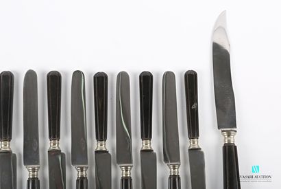 null Set of twelve table knives and one serving knife, the handle in horn with baguette...