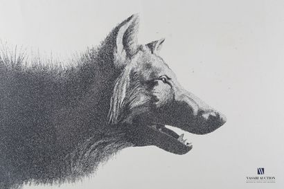 null School of the XXth century

Profile of a wolf

Lithograph on paper

Signed and...