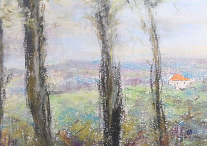 null ANONYMOUS (20th century)

View of a village at the edge of the woods

Pastel...