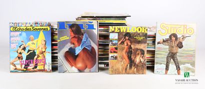 null [EROTISM]

Lot of about a hundred magazines such as : échos des savanes, lui,...