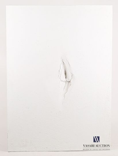 null Lot de trois tableaux

PASSANITI Francesco (né en 1952)

Hymen blanc n°1

BEFUP...