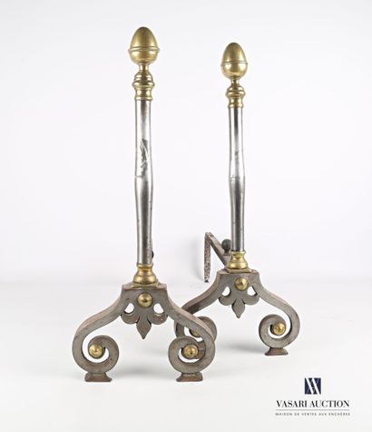 Pair of wrought iron and bronze andirons,...
