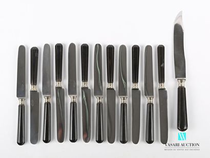 Set of twelve table knives and one serving...