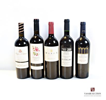 null Lot de 5 blles de vin d'Espagne comprenant :		

1 bouteille	VENDIMIA SELECCIONADA...